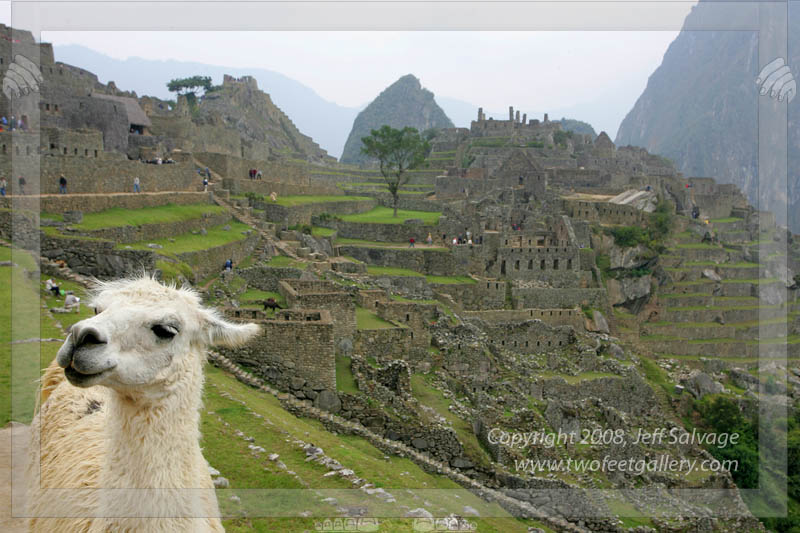 Ralph the Wonder Llama<BR>Machuu Pichuu - Inca Trail Trek, Peru